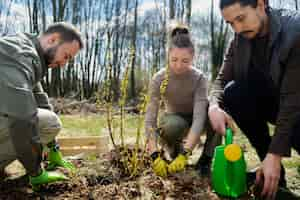 Free photo planting trees as part of reforestation process