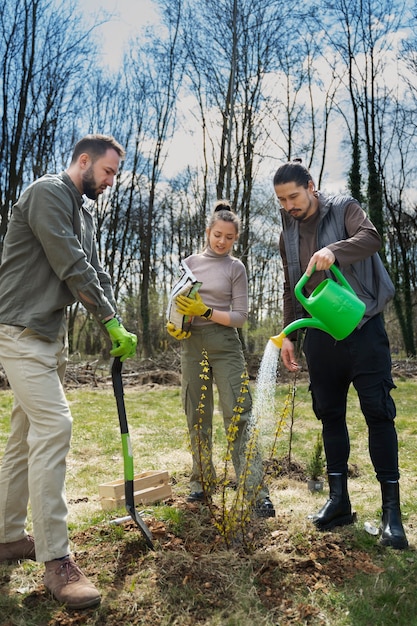 Free photo planting trees as part of reforestation process