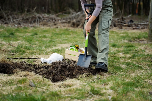 Free photo planting trees as part of reforestation process