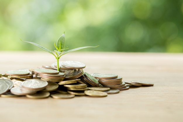 Planting trees on a coin pile with sunlight