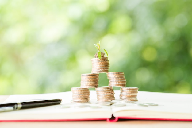 Free photo planting trees on a coin pile with sunlight