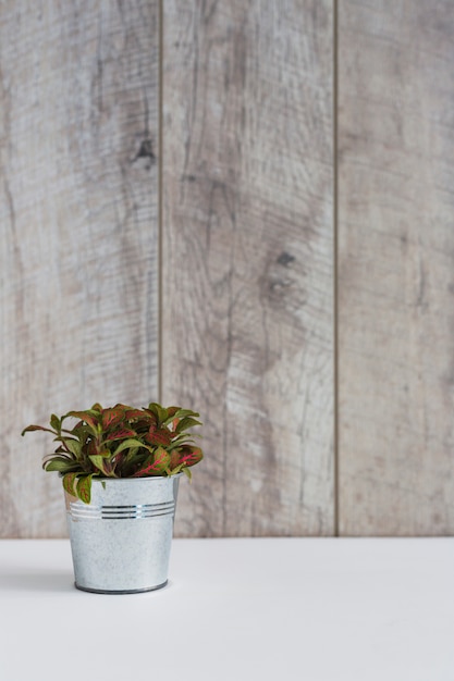 Free Photo plants in aluminum on white desk against wooden wall