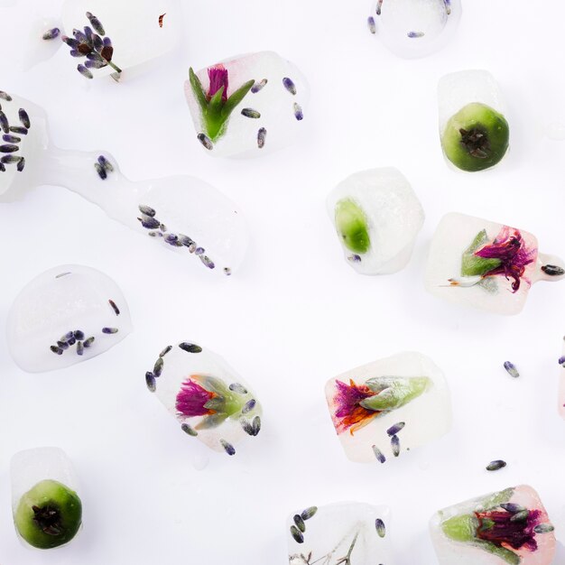 Plants and berries in ice cubes