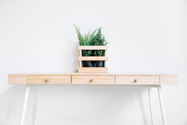 Free photo plants on desk