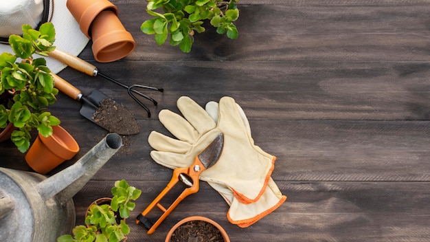 Plants gardening tools close up