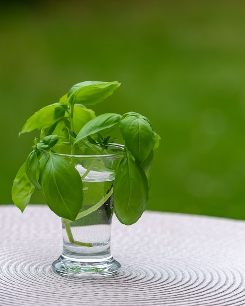 Free photo plants in a glass filled with water on a wooden table