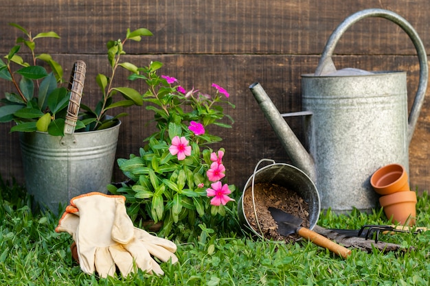 Plants pot with watering can