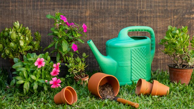 Plants pot with watering can