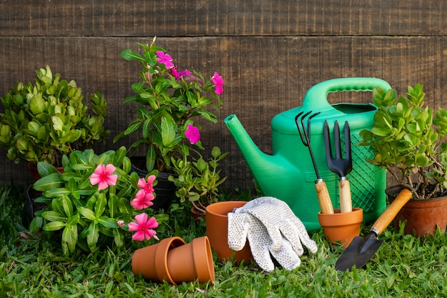 Plants pot with watering can