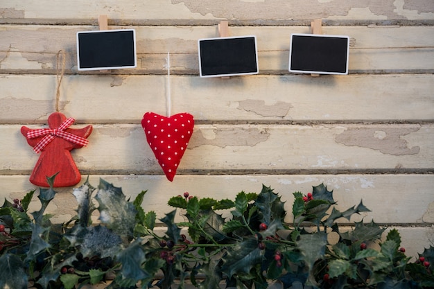 Plants with black photos hanging on a rope