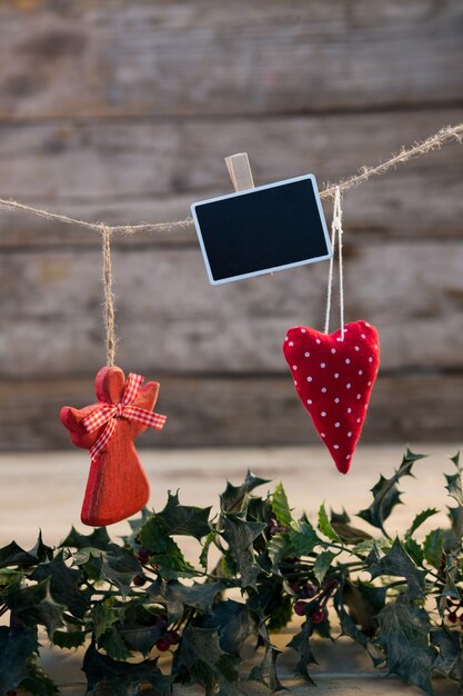 Plants with black photos hanging on a rope