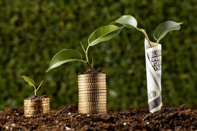 Free Photo plants with coins stacked on dirt and banknote