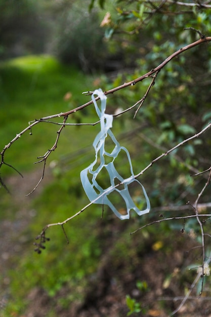 Free Photo plastic garbage on tree stick in woods