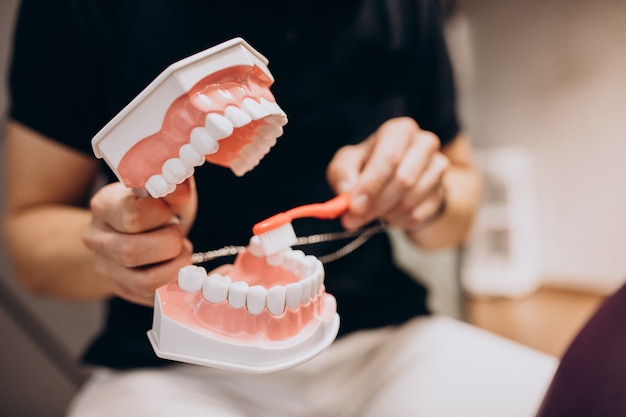 Free photo plastic jaw at a dentistry clinic