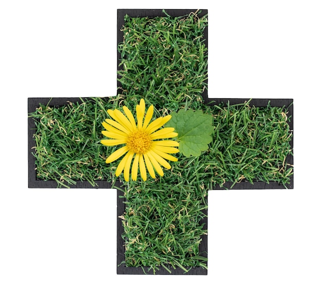 Free photo plus sign made of green grass and flower isolated