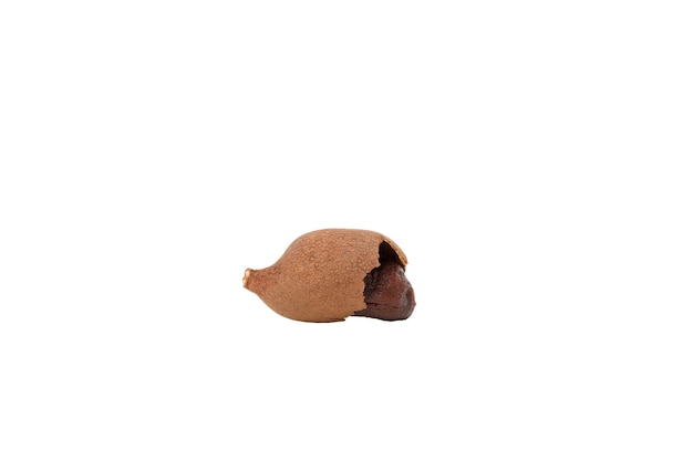 Free photo pngripe tamarind isolated on white background