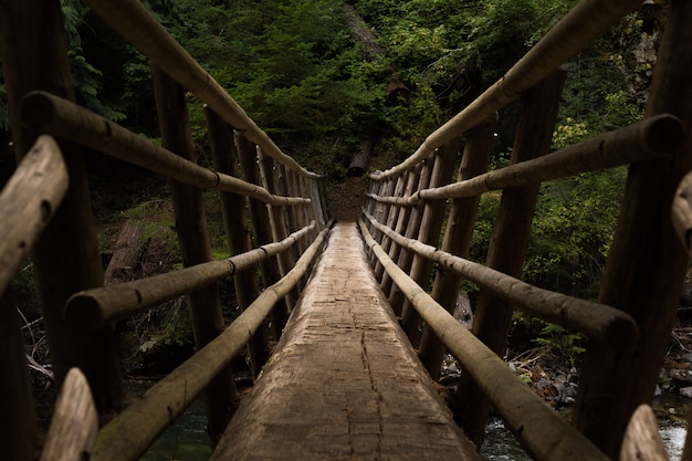 Point of view perspective on a suspension bridge