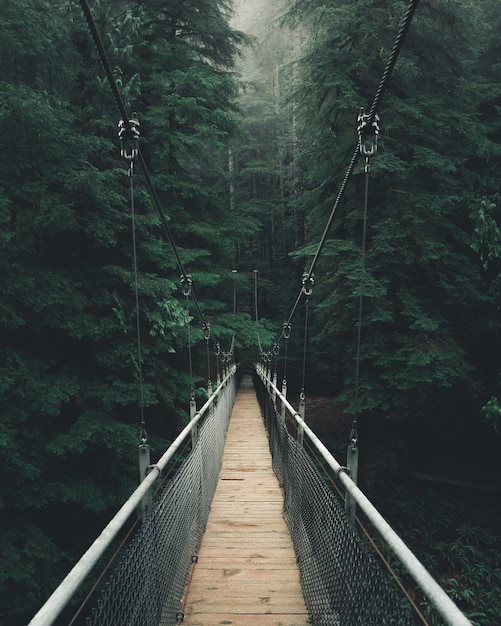 Free photo point of view shot of a narrow suspension bridge in a thick beautiful forest