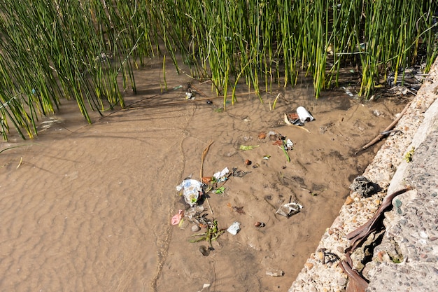 Free photo pollution concept of water with garbage