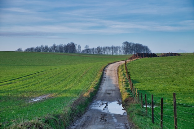 Free Photo pond on a narrow road surrounded by agricultural fields on a cloudy day in maransart, belgium