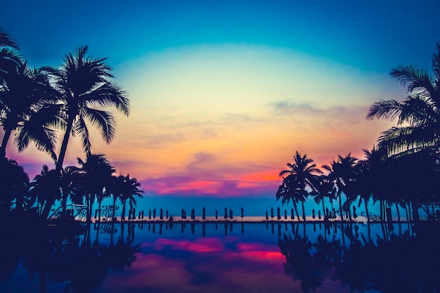 Free photo pool nature landscape palm ocean