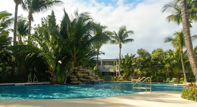 pool surrounded by palm trees near a hotel