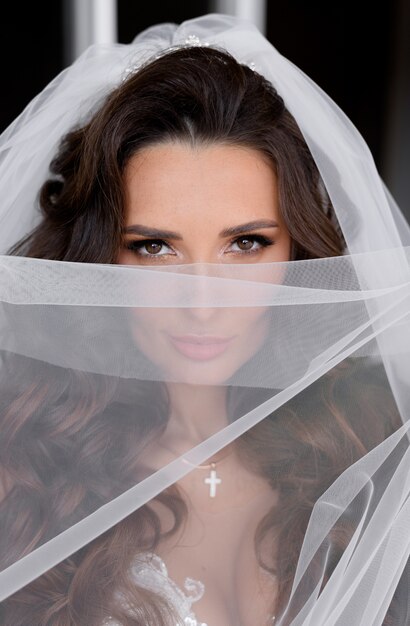 Portrait of a attractive brunette bride's look through the veil