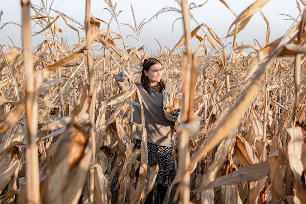 Free photo portrait of an attractive young woman in an autumn corn field among dry leaves with a harvest in her hands.