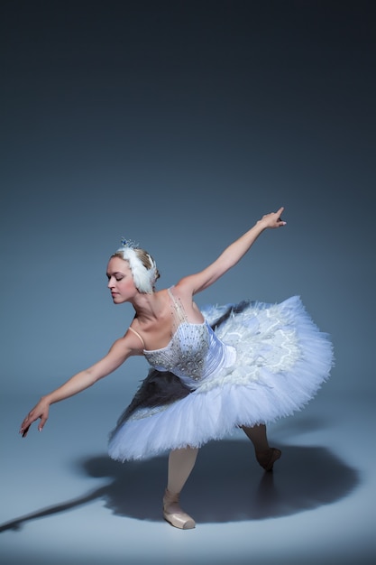 Portrait of the ballerina  in the role of a white swan on blue background