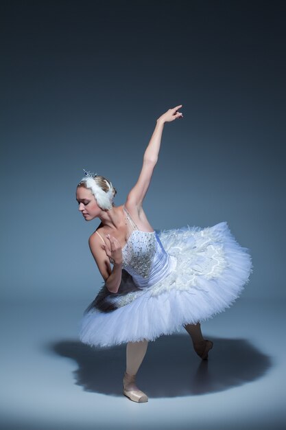 Portrait of the ballerina  in the role of a white swan on blue background