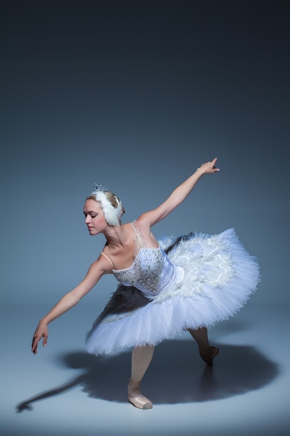 Portrait of the ballerina  in the role of a white swan on blue background