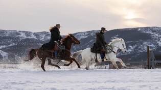 Horse riding photos