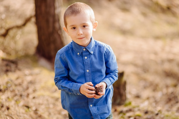 Portrait of cute adorable little boy holding a bunch of pine cones