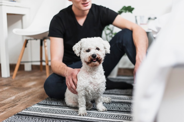 Portrait of a dog sitting on carpet