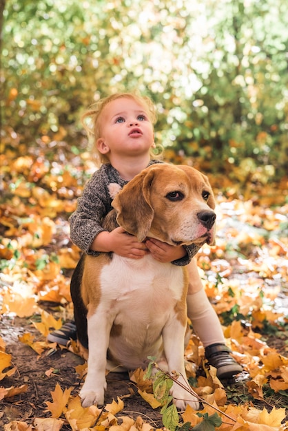 Portrait of girl playing with beagle dog in forest