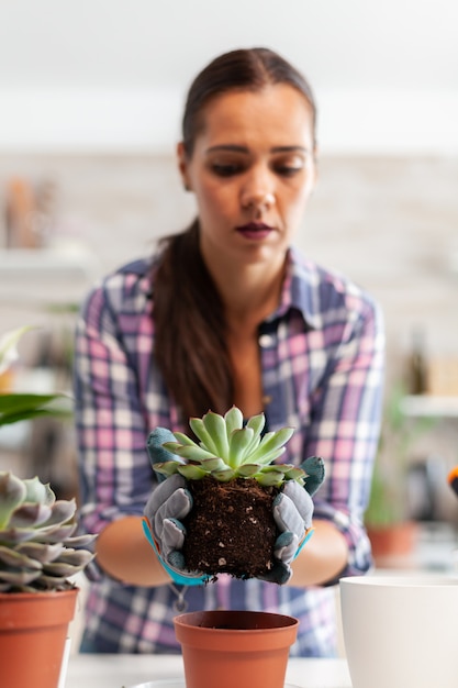 Free Photo portrait of happy woman holding succulent plant sitting on the table in kitchen. woman replanting flowers in ceramic pot using shovel, gloves, fertil soil and flowers for house decoration.