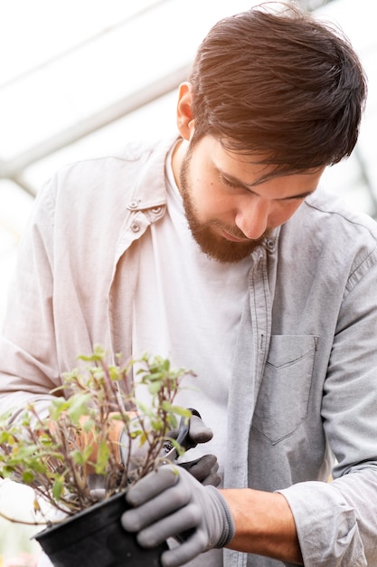 Portrait man growing plants