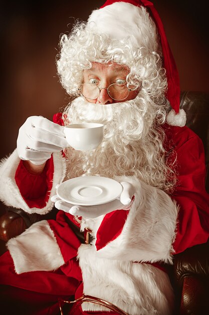 Portrait of Man in Santa Claus Costume