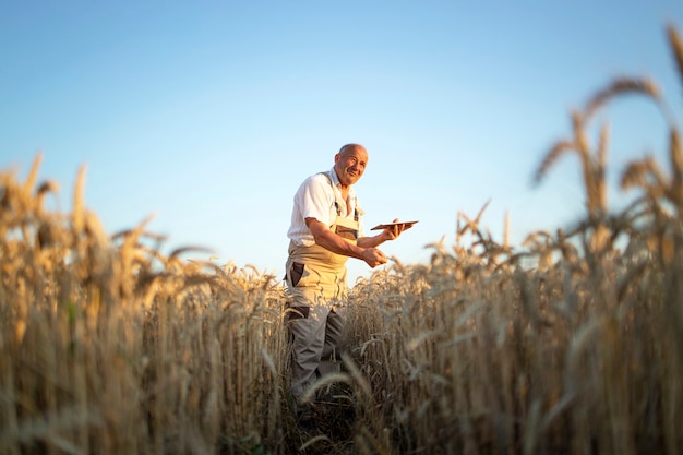 Free photo portrait of senior farmer agronomist in wheat field checking crops before harvest and holding tablet computer