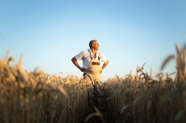 Free photo portrait of senior farmer agronomist in wheat field looking in the distance