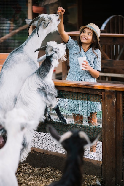 Portrait of a smiling girl feeding chips to goat in the barn