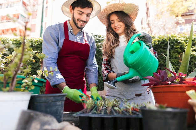 Portrait of smiling young female and male gardener taking care of seedlings in crate