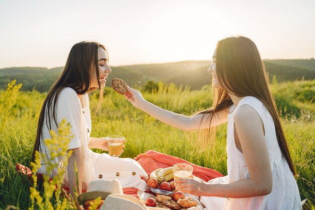 Portrait of two sisters in white dresses with long hair in a field