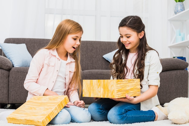 Portrait of two smiling girls looking at gift box sitting in the living room