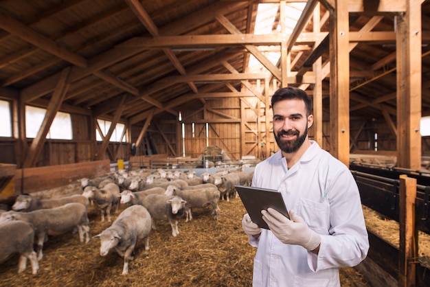 Free photo portrait of veterinarian dressed in white coat with rubber gloves standing at sheep domestic farm