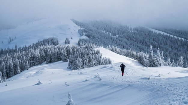 Portrait of a young hiker in the distance dressed all in black climbing the uphill