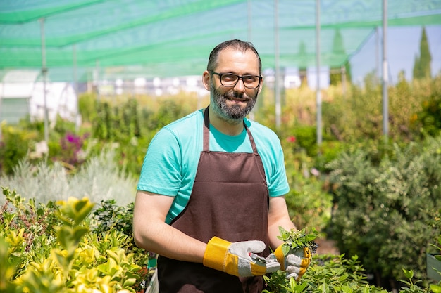 Positive male florist standing among rows with potted plants in greenhouse, cutting bush, holding sprouts,