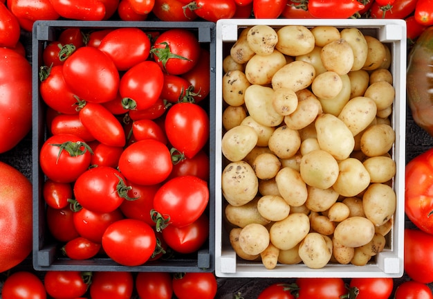 Potatoes and tomatoes in wooden boxes on tomato wall, flat lay.