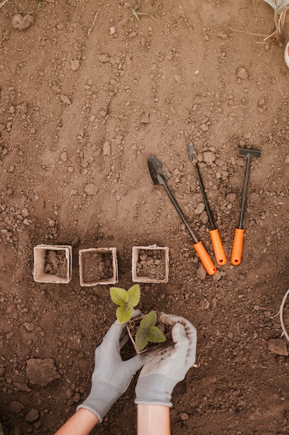 Free photo pots and gardening tools