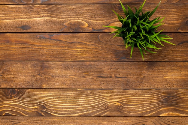 Potted grass flower over wooden table